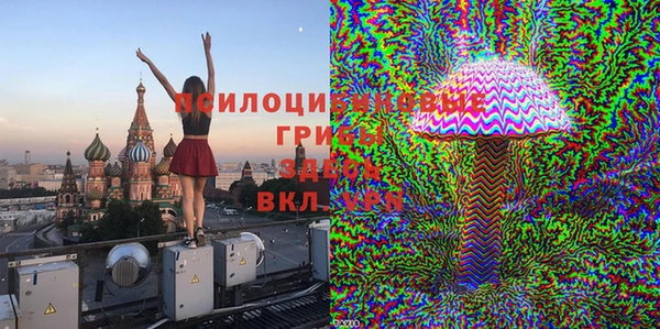 СК Белая Холуница