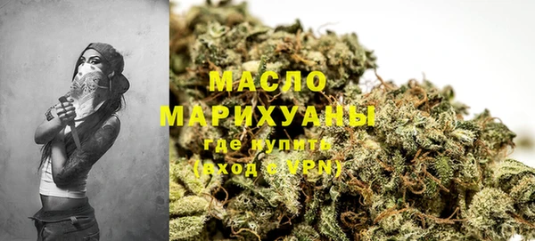 гидра Билибино