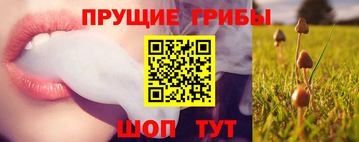 Псилоцибиновые грибы Psilocybine cubensis  Вход с VPN  Гусь-Хрустальный  Галлюциногенные грибы Psilocybe 